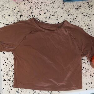 Chic Brown Crop Top for Women